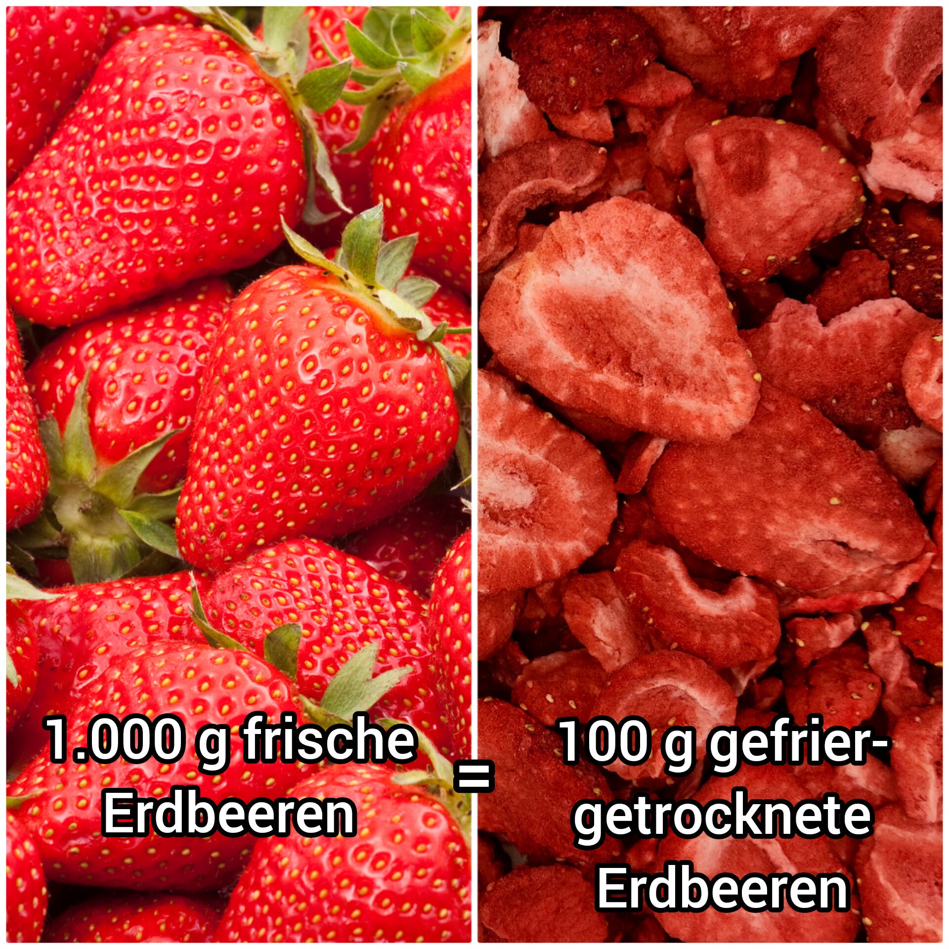 Aus 1000 g frische Erdbeeren werden 100 g gefriergetrocknete Shapefuel Erdbeeren
